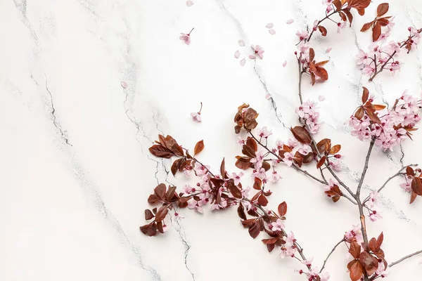 Piękne Kwitnące Gałęzie Białym Marmurowym Tle — Zdjęcie stockowe