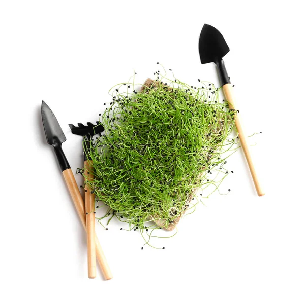 Fresh Micro Green Shovels Rake White Background — Stock Photo, Image