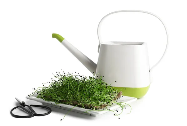 Plate Fresh Micro Green Scissors Watering Can White Background — Stock Photo, Image