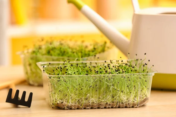 Plastic Container Fresh Micro Green Table — Stock Photo, Image