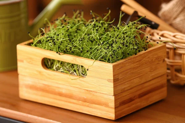 Ξύλινο Κουτί Φρέσκο Micro Green Στο Τραπέζι — Φωτογραφία Αρχείου