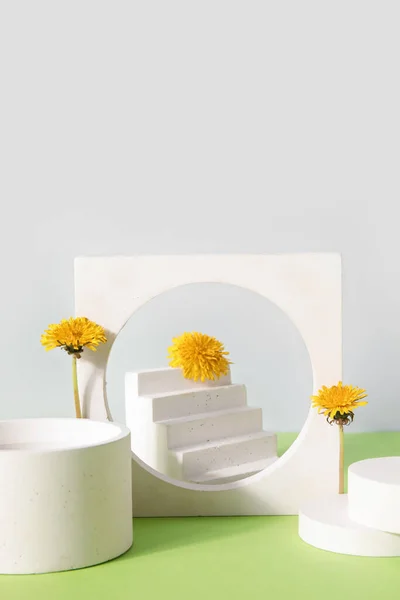 stock image Decorative podiums with dandelion flowers on colorful background