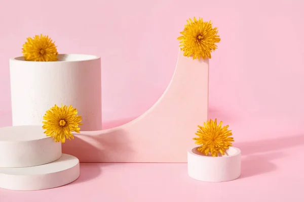 Pódios Decorativos Com Flores Dente Leão Sobre Fundo Rosa — Fotografia de Stock