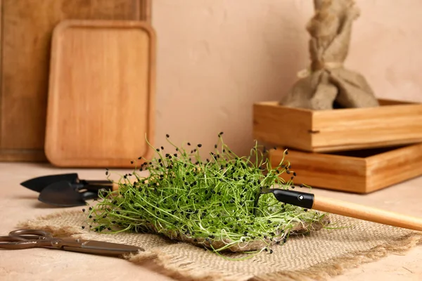Fresh Micro Green Scissors Rake Table — Stock Photo, Image