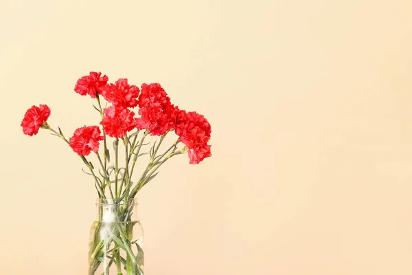 Vase Carnations Beige Background — Stock Photo, Image