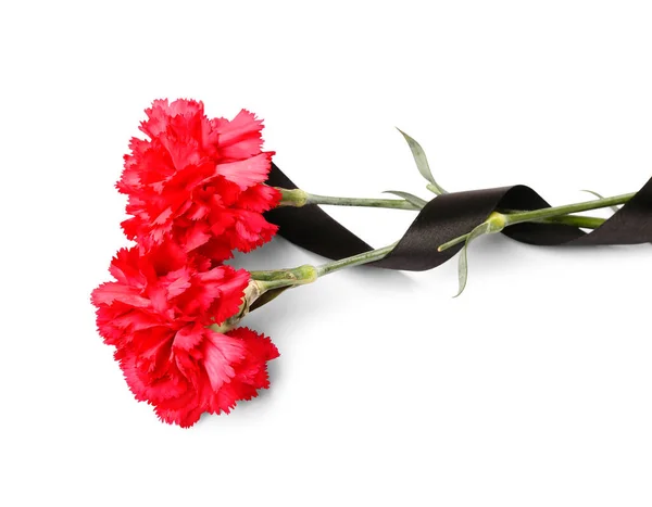 Two Red Carnations Black Ribbon White Background — Stock Photo, Image