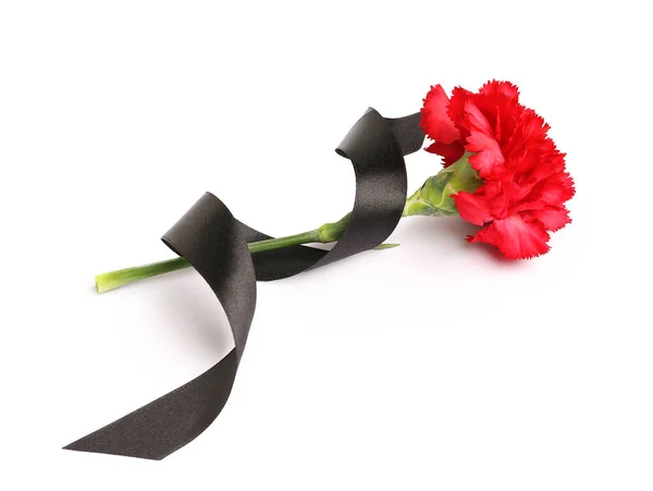 Red Carnation Black Ribbon White Background — Stock Photo, Image