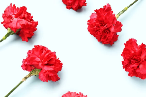 Red Carnations Light Blue Background — Stock Photo, Image