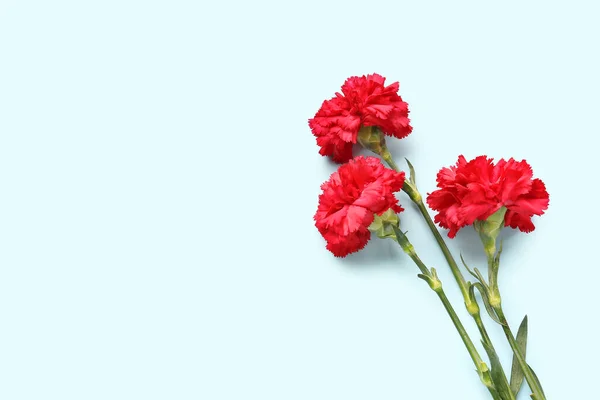 Red Carnations Light Blue Background — Stock Photo, Image