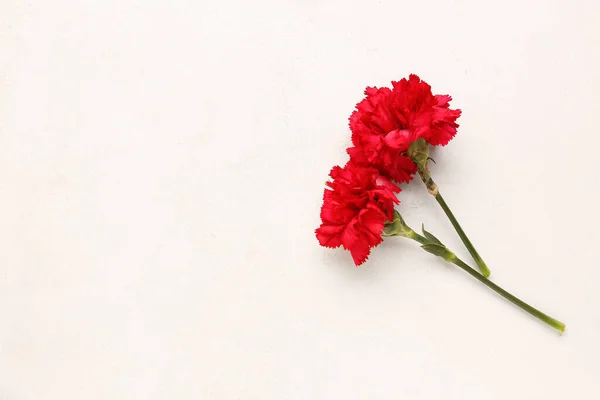 Two Red Carnations Light Background — Stock Photo, Image