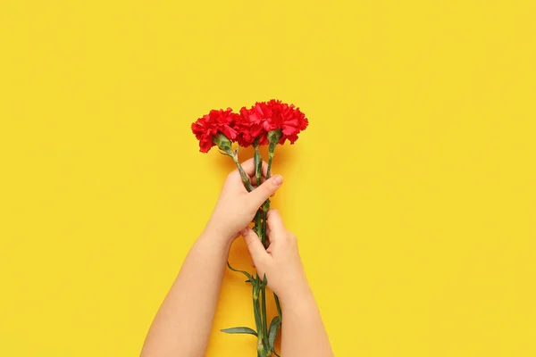 stock image Female hands holding red carnations on yellow background