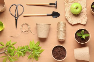 Tohum, elma ve bej arka planda farklı bahçe aletleri olan turba saksıları