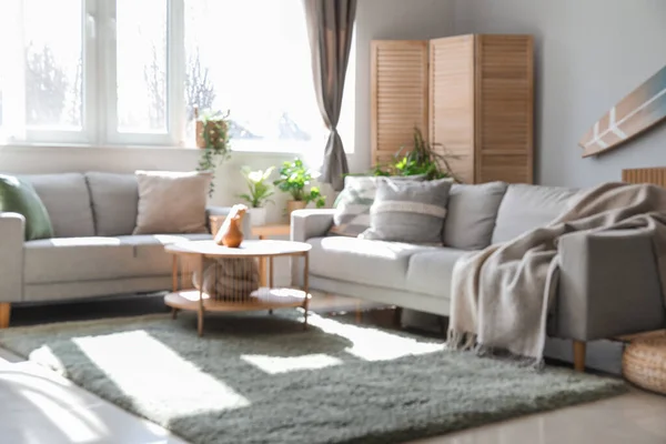 Interior Ruang Tamu Cahaya Dengan Sofa Meja Dan Tanaman Rumah — Stok Foto