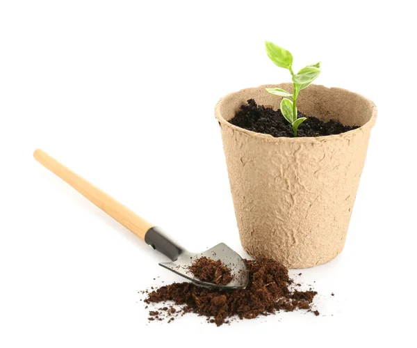 Peat Pot Green Seedling Shovel White Background — Stock Photo, Image