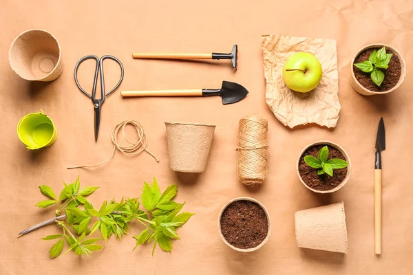 Peat Pots Seedlings Apple Different Gardening Tools Beige Background — Stock Photo, Image