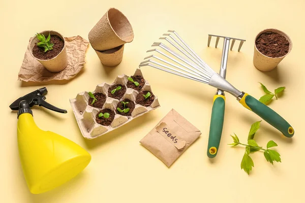 Pack with seeds, green seedlings and gardening tools on beige background
