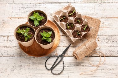 Yeşil fidanlar, makas ve halat hafif ahşap arka planda