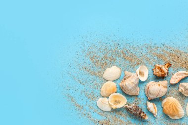 Mavi arkaplanda kum ve kabuklar
