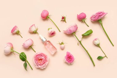 Gül özlü bir şişe kozmetik yağı ve bej arka planda çiçekler.