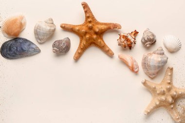 Beyaz arkaplanda kumdan, deniz yıldızlarından ve deniz kabuklarından yapılmış çerçeve