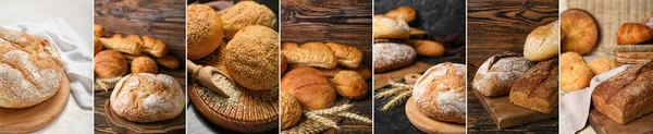 Collage Färskt Hembakat Bröd — Stockfoto