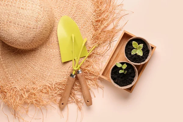Peat Pots Green Seedlings Straw Hat Gardening Tools Beige Background — Stock Photo, Image