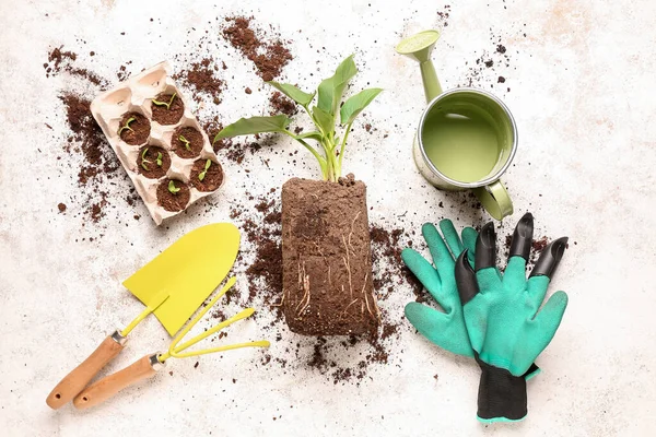 Mudas Verdes Com Solo Ferramentas Jardinagem Fundo Claro — Fotografia de Stock