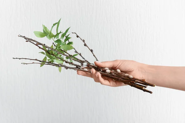 stock image Woman with willow branches on white background