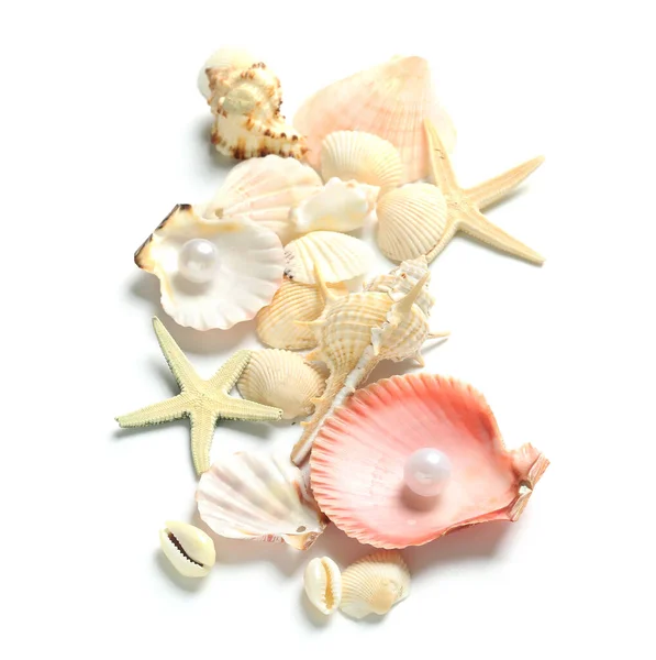 Seashells Starfishes White Background — Stock Photo, Image