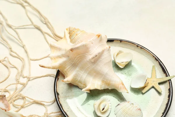 Plates Seashells Starfish Net Light Background — Stock Photo, Image