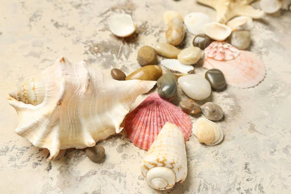 Seashells Stones Starfishes Grunge Background — Stock Photo, Image