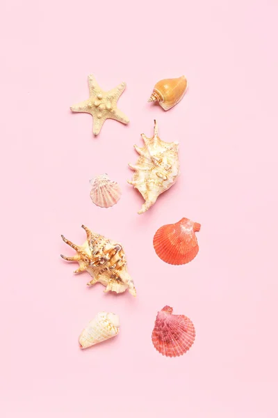 Seashells Starfishes Pink Background — Stock Photo, Image