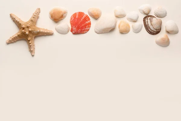 Starfish Shells Beige Background — Stock Photo, Image