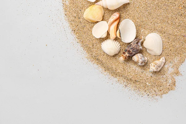 Stroke Sand Seashells Grey Background — Stock Photo, Image