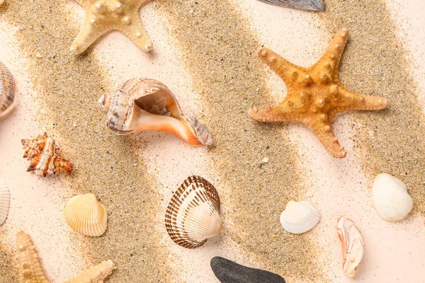 Sand Seashells Starfishes Pale Pink Background — Stock Photo, Image