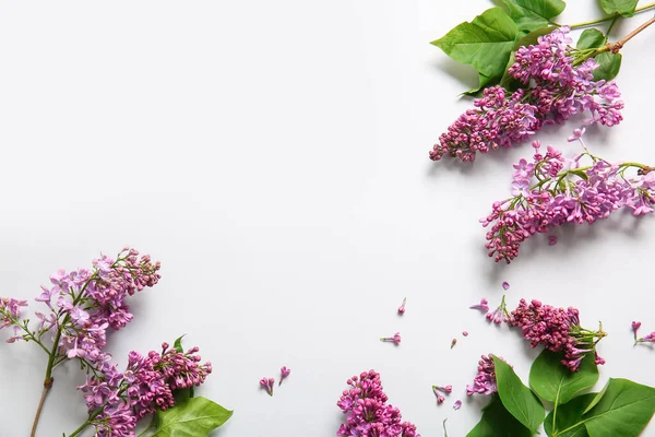 Blooming Lilac Flowers Grey Background — Stock Photo, Image