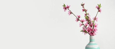 Işık arkaplan üzerinde çiçek açan güzel ağaç dallarına sahip vazo ve metin için boşluk