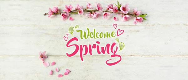Banner with text WELCOME SPRING and beautiful blossoming tree branches