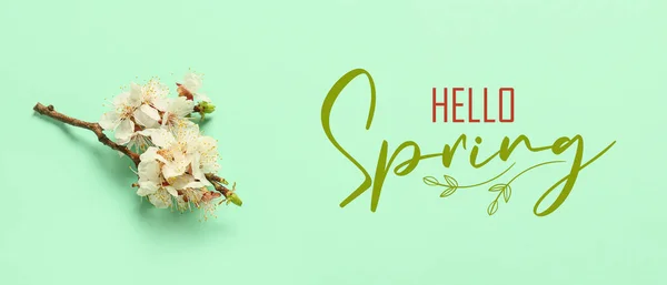 Banner Con Texto Hello Spring Hermosa Rama Árbol Flor —  Fotos de Stock