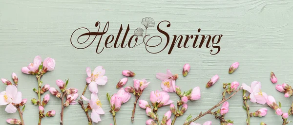 Banner Textem Hello Spring Krásnými Kvetoucími Větvemi Stromů — Stock fotografie