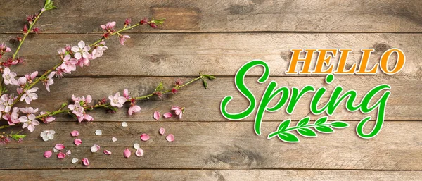 Прапор Текстом Hello Spring Красивими Гілками Квітучого Дерева — стокове фото