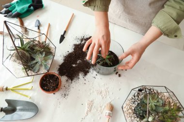 Evdeki masada floraryum yapan kadın, yakın plan.