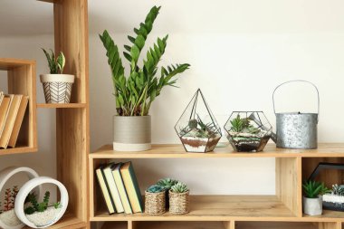 Çiçek sulama tenekesi ve ışık duvarının yanındaki rafta saksı var.