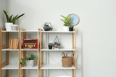 Işık duvarının yakınındaki raflarda çiçekleri olan Floraryumlar