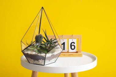 Sarı duvarın yanındaki takvime sahip Floraryum