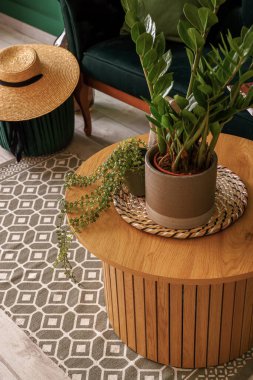 Oturma odasında çiçekli kahve masası, yakın plan.