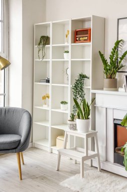 Oturma odasının içinde şöminesi, rafları ve çiçekleri var.