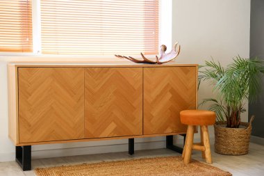 İçinde geyik boynuzu, dışkı ve palmiye ağacı olan çekmeceler.