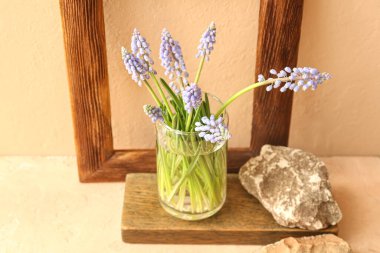 Güzel Muscari çiçekleri, ahşap çerçeve ve bej duvarın yanındaki masada taşlar.