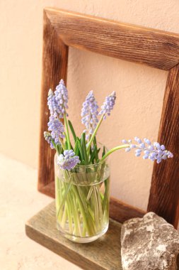 Güzel Muscari çiçekleri, ahşap çerçeve ve bej duvarın yanındaki masada taşlar.